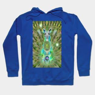 Multidimensional Llama Unicorn Hoodie